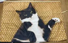 フェリシモ 猫部 枕カバー