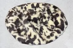 Item thumbnail for item 335991d5-8c61-408f-84d5-40ed1e014f16