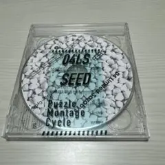 フォーリミ　SEED ヨンフェスDVD