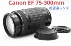 Item thumbnail for item 860019e4-6ffd-44b1-9de5-44ff62e31f19
