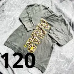 Item thumbnail for item 05063064-447d-428d-acc0-307d6ce1bfcd