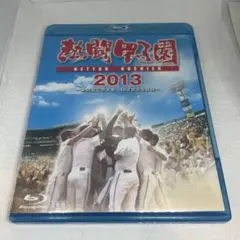 熱闘甲子園2013〈2枚組〉