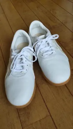 ASICS 太極拳シューズ 23.5cm ウーシューWU
