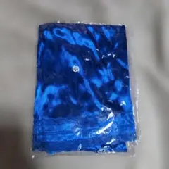 Item thumbnail for item 870e628d-32b2-4c64-bd2a-639109504574