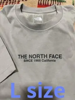 THE NORTH FACE Tシャツ L size24時間以内発送