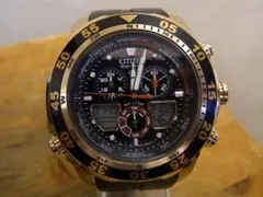 Item thumbnail for item 205cc328-f43e-49f4-a4c4-b824e1f42d59