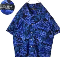 Item thumbnail for item 66fe379f-8244-4f85-be82-44cd1f77b2c0