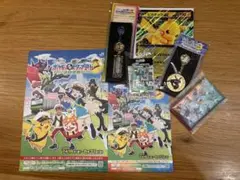 JR東日本 ポケモン メガ スタンプラリー 2025 フルコンプセット　　▼