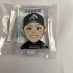 日本ハムファイターズガチャアクリルスタンド