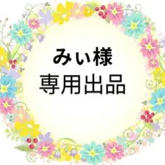 みぃ様オーダー商品