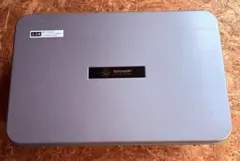 m20895617018_1.jpg?1755764734