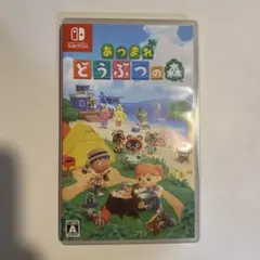 あつまれ どうぶつの森 Nintendo Switch