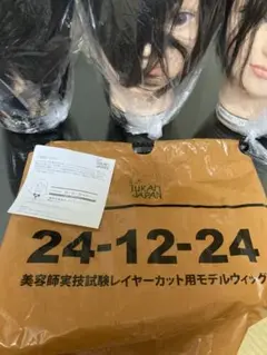 YUKAI JAPAN レイヤーカットモデルウィッグ 24-12-24