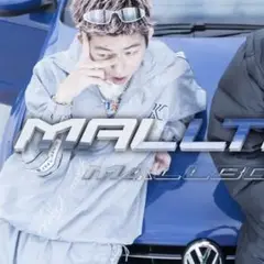 Item thumbnail for item 70d74244-a691-4505-99f5-f687b8f86b2c