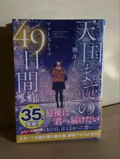天国までの49日間