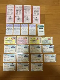 東京ディズニーリゾート 使用済みチケット