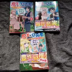 魔王を倒した元勇者、元の世界には戻れないと今さら言われたので、王国を捨てて好き…