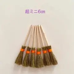 超ミニチュアほうき