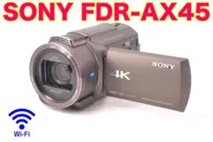 ☆美品 SONY FDR-AX45 (TI) ブロンズ ブラウン 4K☆