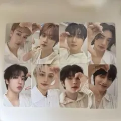 Straykids 2024 シーグリ 8枚セット