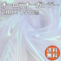 送料無料 オーロラ オーガンジー 生地 2ｍ ホワイト 白 手芸 布 P42