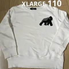 Item thumbnail for item d1b5c4cf-5a09-4769-baf0-1e66a346f187