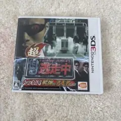 任天堂　3DS ソフト　超・逃走中
