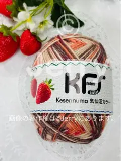 Opal毛糸: KFS 送料600円込み 【50g】 気仙沼いちご