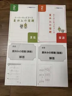 早稲アカ　2年生 夏休みの宿題 問題集と解答