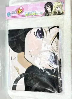 【超レア品】僕は友達が少ない 柏崎星奈添い寝シーツ 315xp8J8-AL._UF894,1000_QL80_.jpg