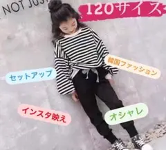 120㎝子ども服 ボーダー セットアップ 韓国 シンプル おしゃれスウェット