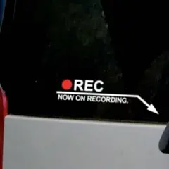 Item thumbnail for item a9837c79-e5cd-41f5-adef-b48e8230d905