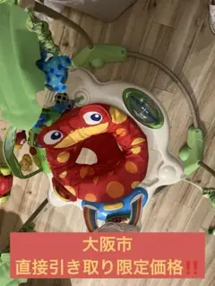 箱あり✨fisher-price✨ジャンパルー✨RainfoRest✨