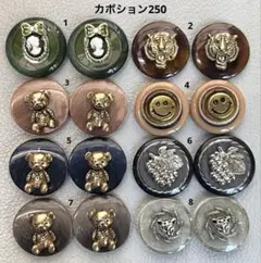 ボタンカボション250③ 8/20