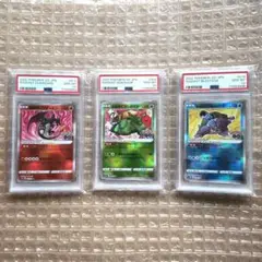 かがやくリザードン フシギバナ カメックス 御三家 PSA10 3連番