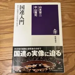 国連入門 理念と現場からみる平和と安全