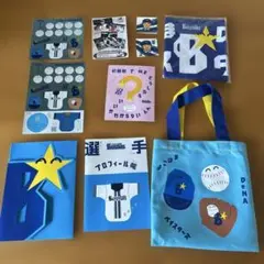 横浜ベイスターズ　わくわくギフト