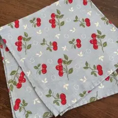 Item thumbnail for item c1ba9f0a-e277-4a01-a337-4e5c955eb386