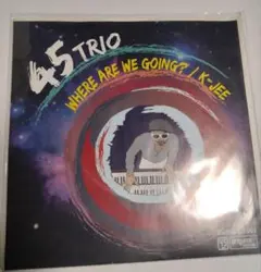 45 TRIO / WHERE ARE WE GOING? /I LIKE IT