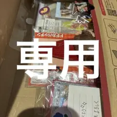 専用