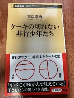 美品 帯付 ケーキの切れない非行少年たち 宮口浩治 少年院 知能障害 認知機能