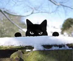 ガーデンオブゼー猫ちゃんグッズ　ネコ大好き　ねこインテリア　ガーデンインテリア