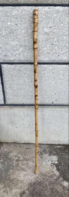 布袋竹　杖