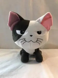 2025年最新】こねこのチー ぬいぐるみ コッチの人気アイテム