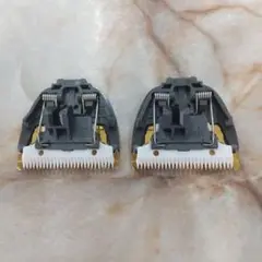 Item thumbnail for item 1df84af5-29c7-40bd-8201-678a2ad47395