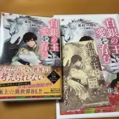 （aBL小説）「白銀の王は愛を育む」茶柱一号　コミコミスタジオ小冊子付き