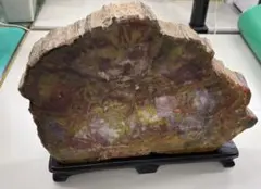 Item thumbnail for item 8bc9dbe5-b35f-4e41-85b7-0ae39a55a1bd