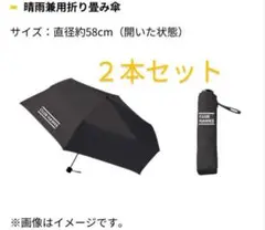 折りたたみ傘　２本　クラブホークス　非売品　会員限定品　福岡ソフトバンクホークス