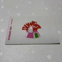 SUMMARY 2011 パンフレット　サマリー　Hey!Say!JUMP