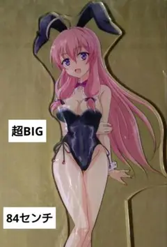 超BIGサイズ ニートくノ一 白津莉（しずり）バニー